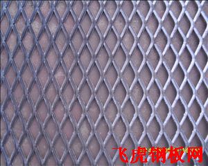 安平防護型鋼板網(wǎng)