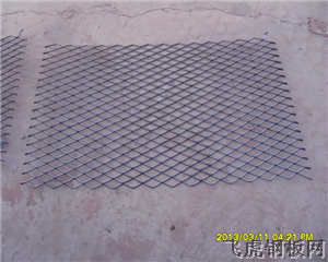 真<a href='http://bo5rx.cn'>鋼笆片</a>－０１